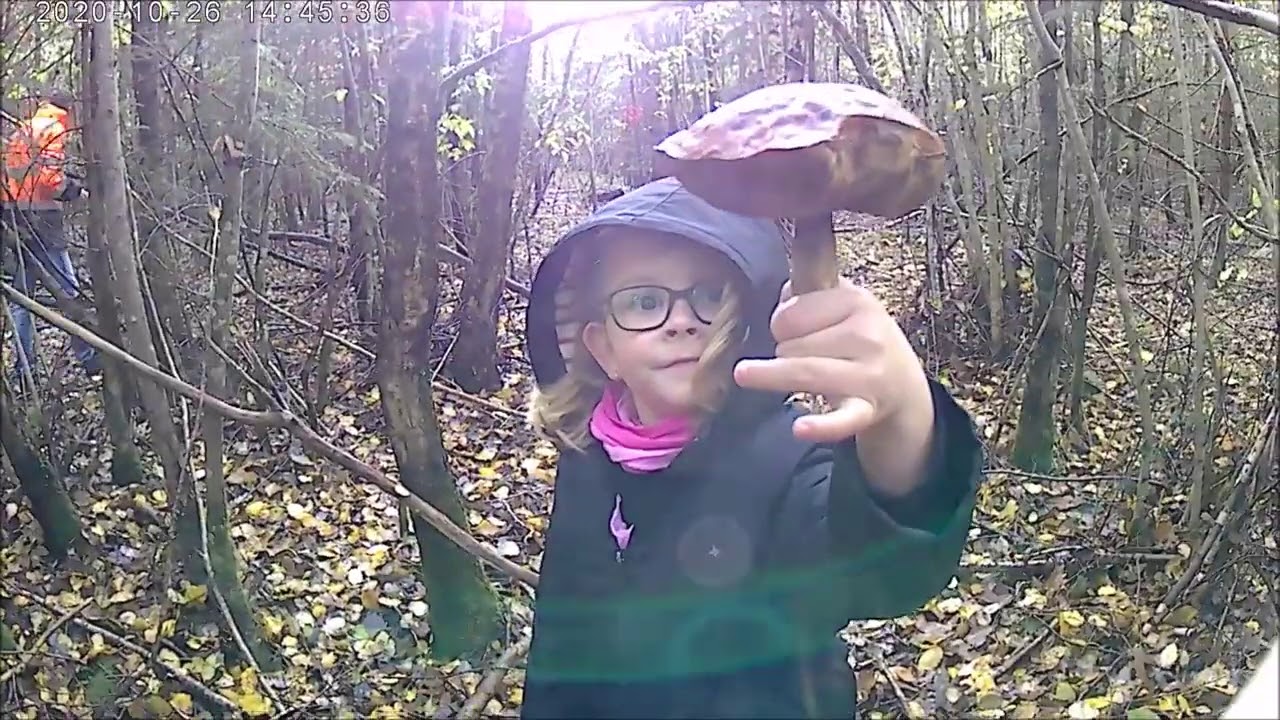 LE 26.10.2020 PROMENADE AUX TROMPETTES  avec LAÏS ,THIBAULT , JACQUELINE !!!