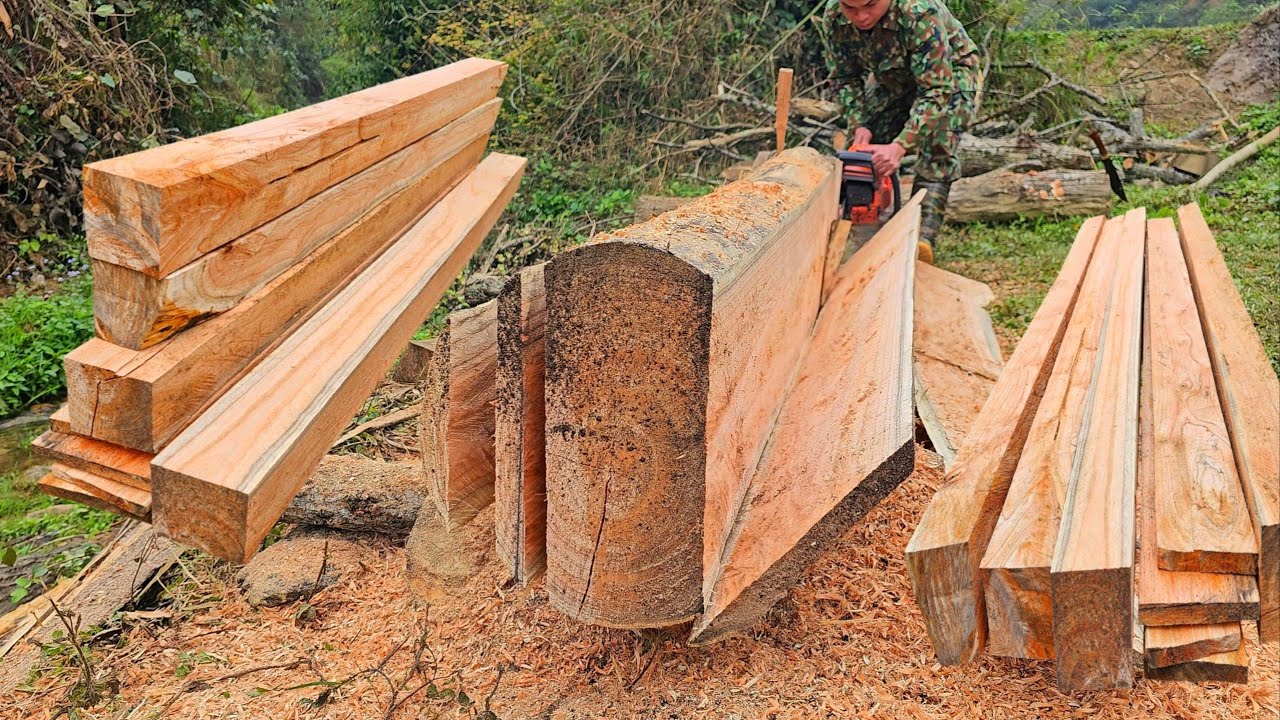 Full video of sawing large trees into house columns and planks
