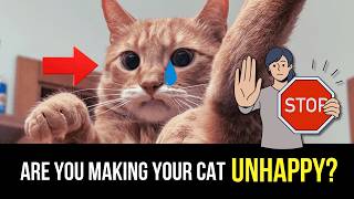 7 Things You Do That Your Cat Secretly HATES