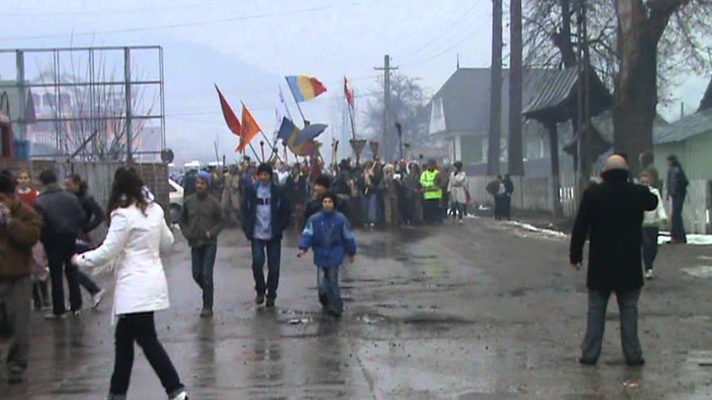 Capra Sabasa 2009-2010