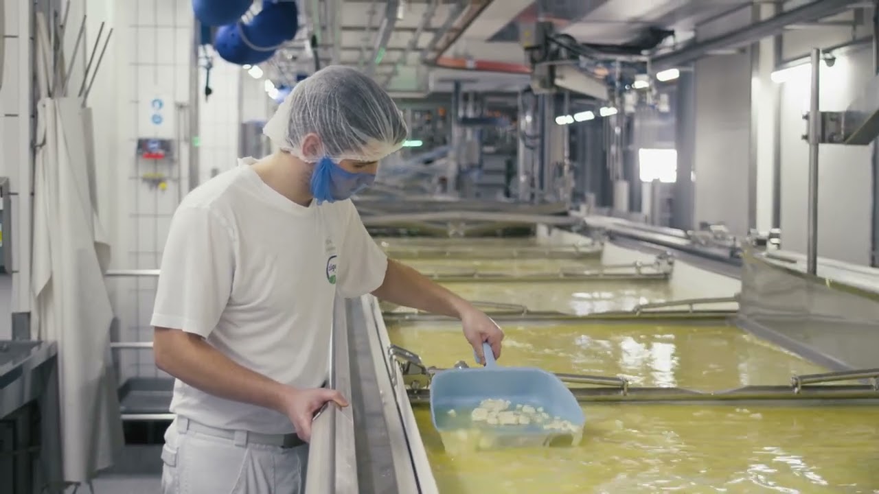 So entsteht der Züger Mozzarella