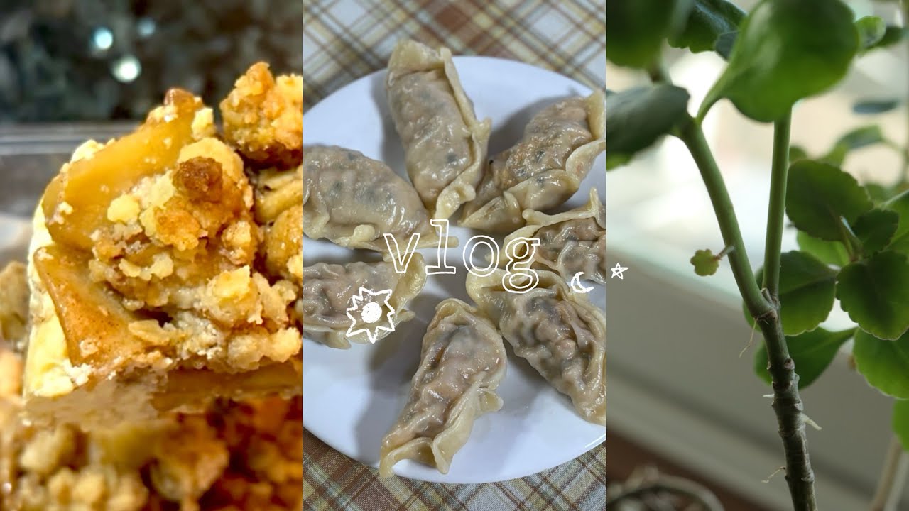 애플크럼블치즈케익 만들어서 집가는 vlog | 귤asmr, 요리하면서 보낸 11월의 마지막 주🍂