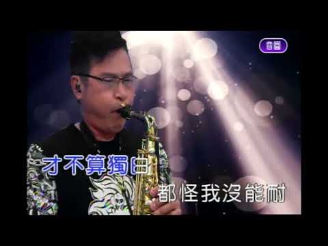 如果這都不算愛     屏東張菲  薩克斯風 演奏