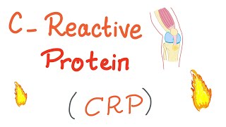 C-Reactive Protein (CRP) | Inflammation | Acute phase reactant