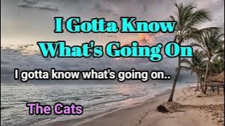 I Gotta Know What's Going On  - The Cats lyrics