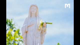 ДЕВ’ЯТНИЦЯ ДО 42-Ї РІЧНИЦІ ОБ’ЯВЛЕНЬ БОГОРОДИЦІ У МЕДЖУҐОР’Ї - 1 день