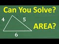 Understanding Triangle Area Calculation
