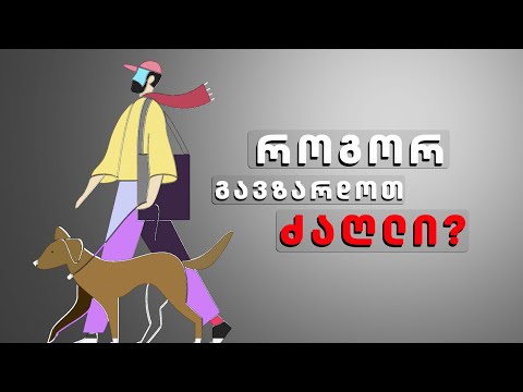 როგორ გავზარდოთ ძაღლი?