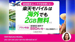 About《 International Calls and Overseas Data Usage 》