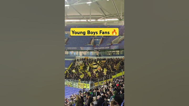 Young Boys Fans machen Stimmung 🔥 #shakhtar #shakhtardonetsk #youngboys #ucl #championsleague