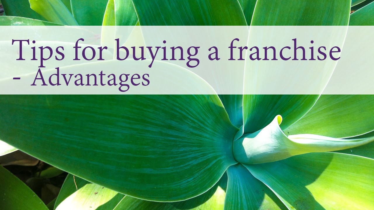 Tips for buying a franchise - advantages - YouTube