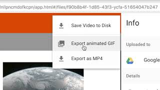 Export as .mp4 / .gif screenshot 5