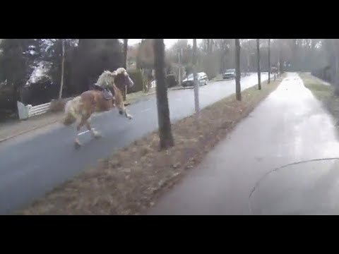 Scooterdriver helps woman catch her runaway horse