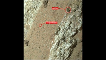 Space Policy Edition: Should a (potential) biosignature revive Mars Sample Return? - Planetary Radio