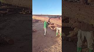 That is the toughest job, in my opinion #adamrose #construction #workers #fails