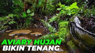 TENANG BANGET..! BEGINILAH KONDISI AVIARY TERGUYUR HUJAN... AUTO PULES