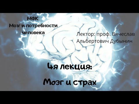 4я лекция Мозг и страх Вячеслав Дубынин
