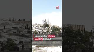 Thumbnail for Դաժանություն ա դա, ամոթ ա. 17-ամյա Գրիշայի դանակահարությունից հետո ուշքի չի գալիս Սպիտակը #Սպիտակ
