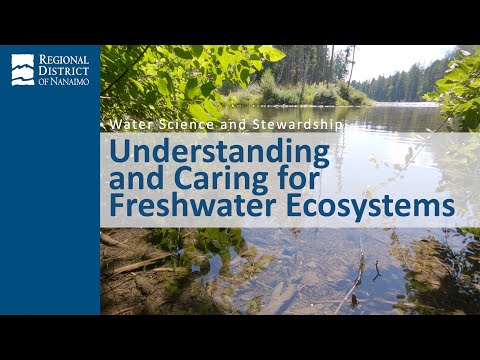 Video 5 - Water Science and Stewardship