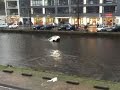 AP-Mother, toddler rescued from sinking car in canal