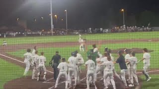 Watch: Walk-off HR sends South Walton to Final Four