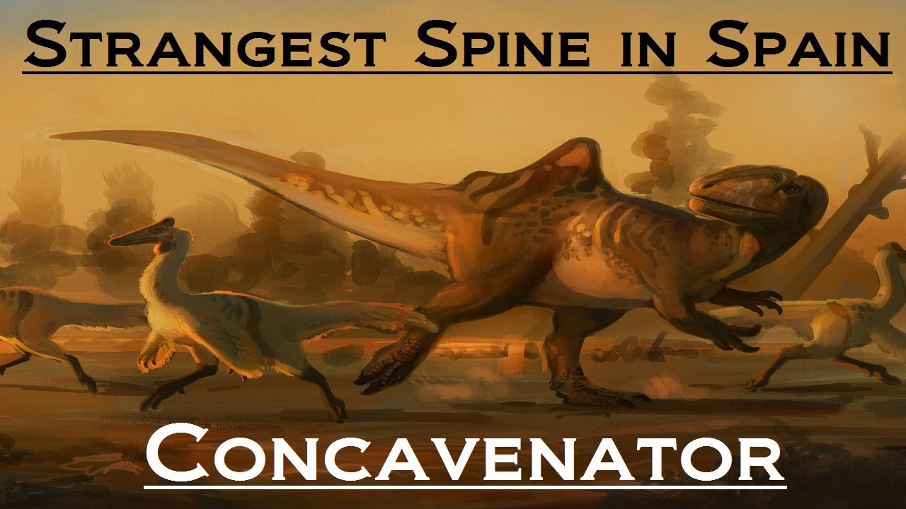 Prehistoric Breakdown: Concavenator