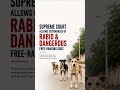 Supreme Court on Stray Dogs ⚖️ Public Safety vs Animal Welfare | India’s Big Debate Explained #upsc