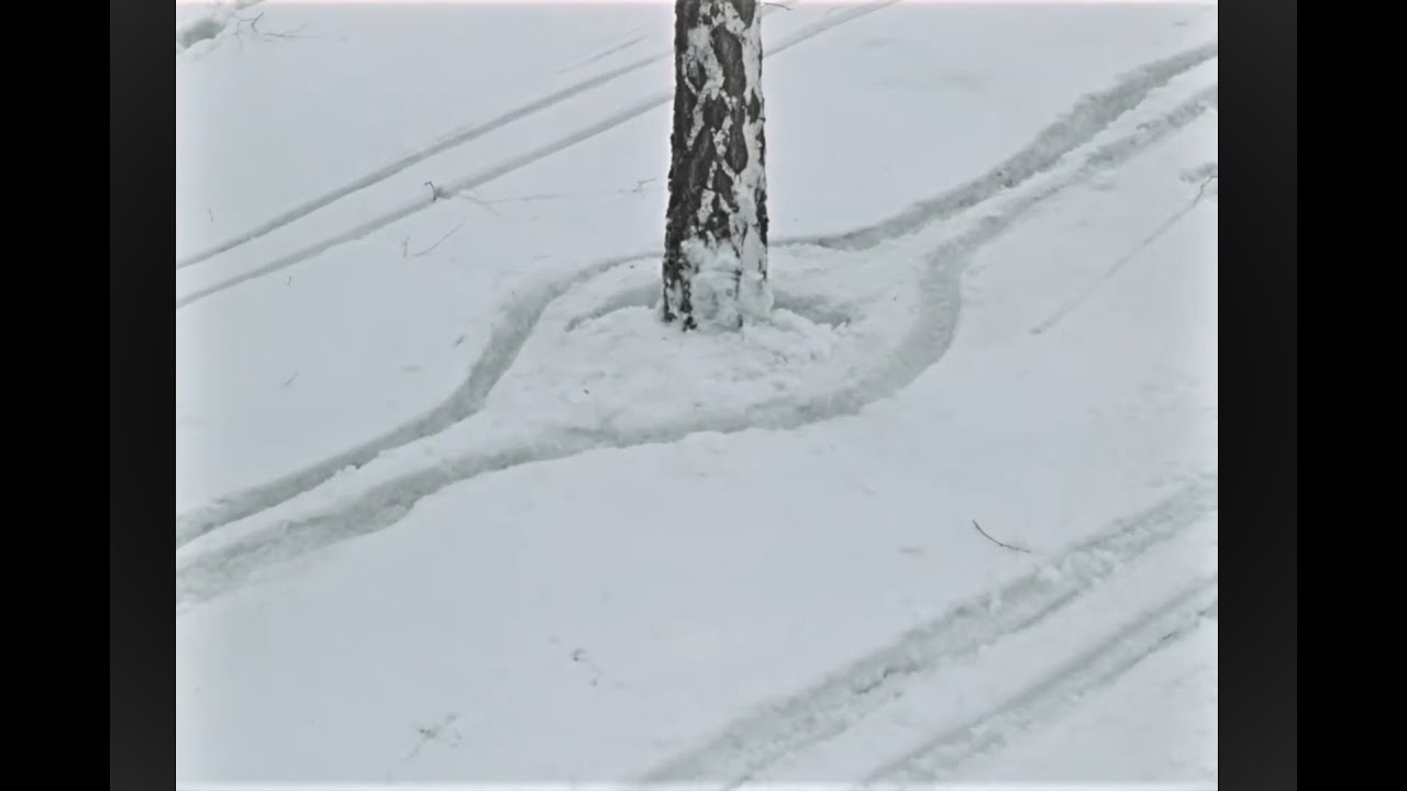 "cursed" moment from Soviet comedy film