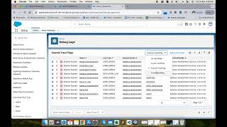 Salesforce Debug Helper (Trace Flag Category)