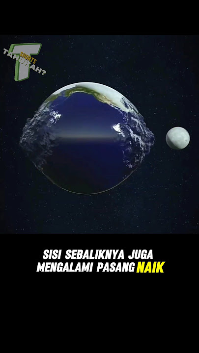 Pengaruh gravitasi bulan terhadap pasang surut air laut. #waves #lowtide #airpasang #ombak #moon