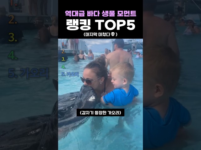 역대급 바다 생물 모먼트 랭킹 TOP5