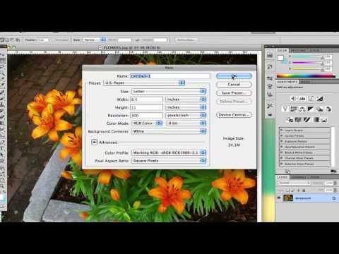 How to Print