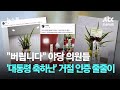 &quot;버립니다&quot;…야당 의원들의 &#39;대통령 축하난&#39; 거절 인증 줄줄이 / JTBC 뉴스룸