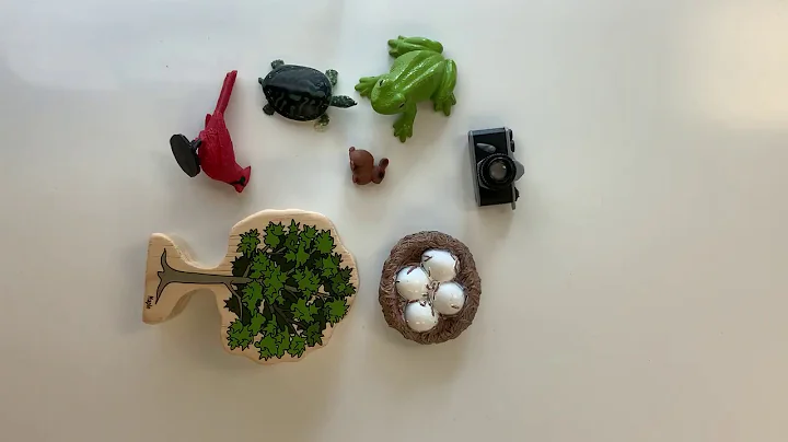 What’s Missing? game