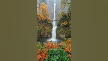 تلاوة رائعة 🤍