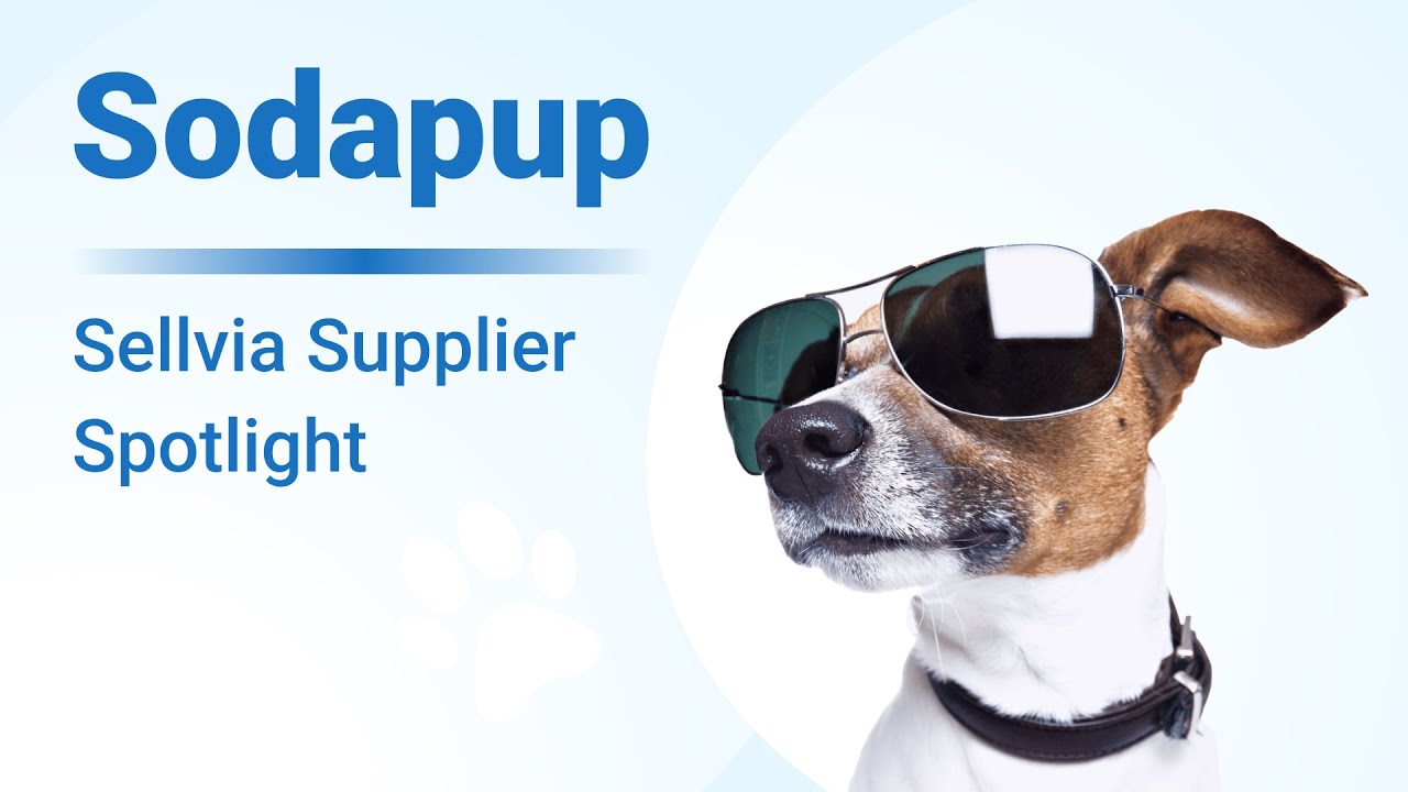 Sodapup Dog Toys On Another Level 🔥 (Top Products For You To Sell This