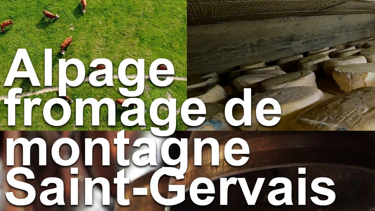 Alpage de montagne vaches laitières La Pierre du Déjeuner Saint-Gervais Mont -Blanc agriculture