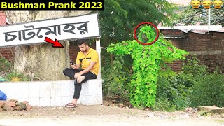 Bushman Attack Prank 😂 The Best of Hilarious Bushman Prank | So Funny Reaction In Public..