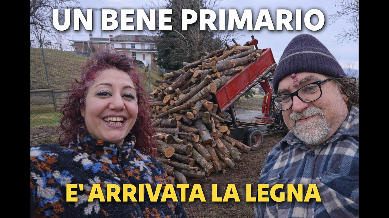 E' ARRIVATA LA LEGNA / UN BENE PRIMARIO PER NOI #fattoria #animali #cambiovita #farmlife #farm