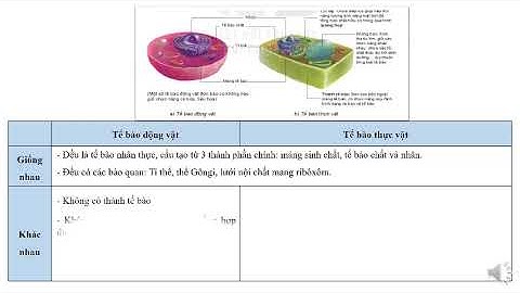 So sánh tính chất của tb đv và thực vẩ