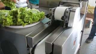 Procesadora Horizontal A80 Inox