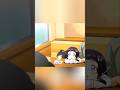 #anime shots#anime funny video#enemy clip##