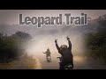 A Vlog Of Leopard Trail