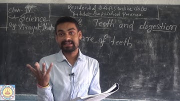 Class 4 th # Science # Lesson-2 #Teeth and Digestion #Part- 6