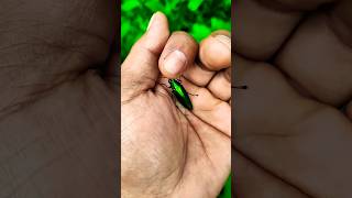 Introducing The Vitawear Smartband, A Next- Generation Wearable Gadgetp3754