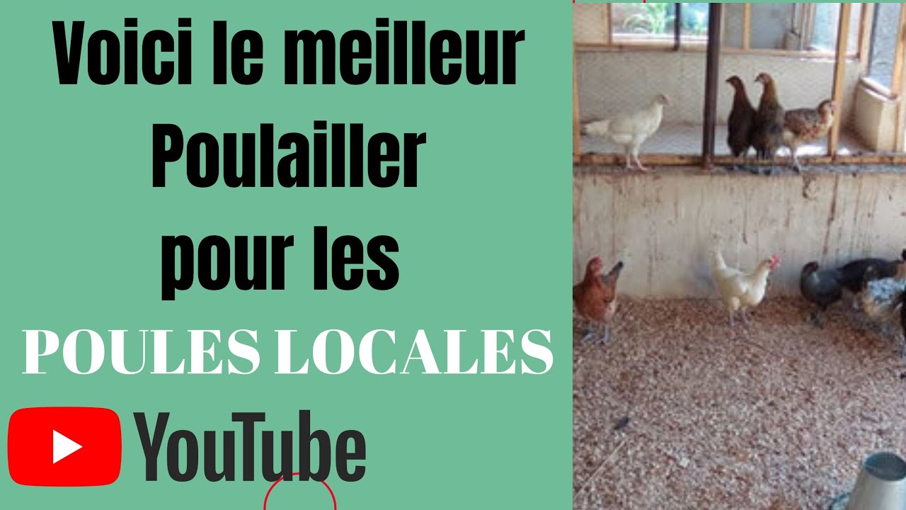 Comment construire un Bon Poulailler pour les poules locales ? - YouTube
