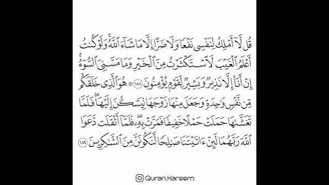 القارئ ماهر المعيقلي - سورة الأعراف - من الآية 188 إلى الآية 189