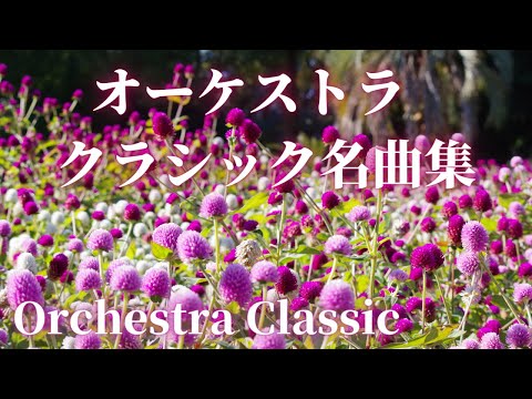 名曲クラシック 聴いたことのあるオーケストラ クラシックメドレー モーツァルト ブラームス ベートーヴェン ボロディン 他 作業用BGM Orchestrs Classic BGM