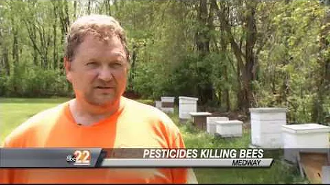 Pesticides Killing Our Honeybees