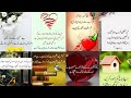 Life changing Urdu quotes ✨✨ best Urdu quotes #poetry #islamicquotes 